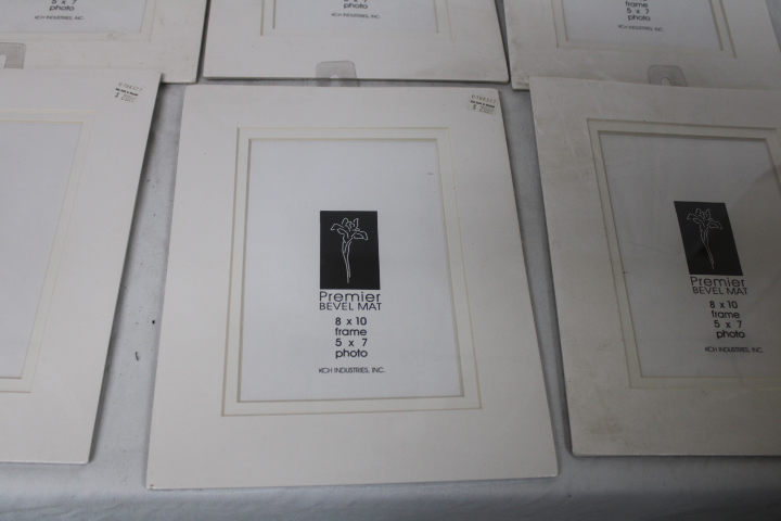 LOT 296 Picture Frames – Sathers Auctions